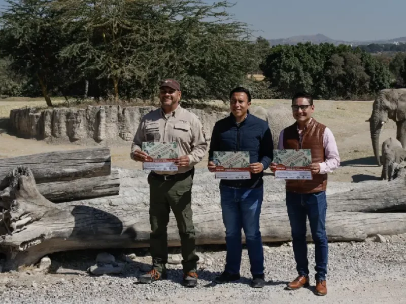 El Gobierno de la Ciudad se suma a la Campaña Verde Navidad 2024 para reciclar árboles naturales de temporada