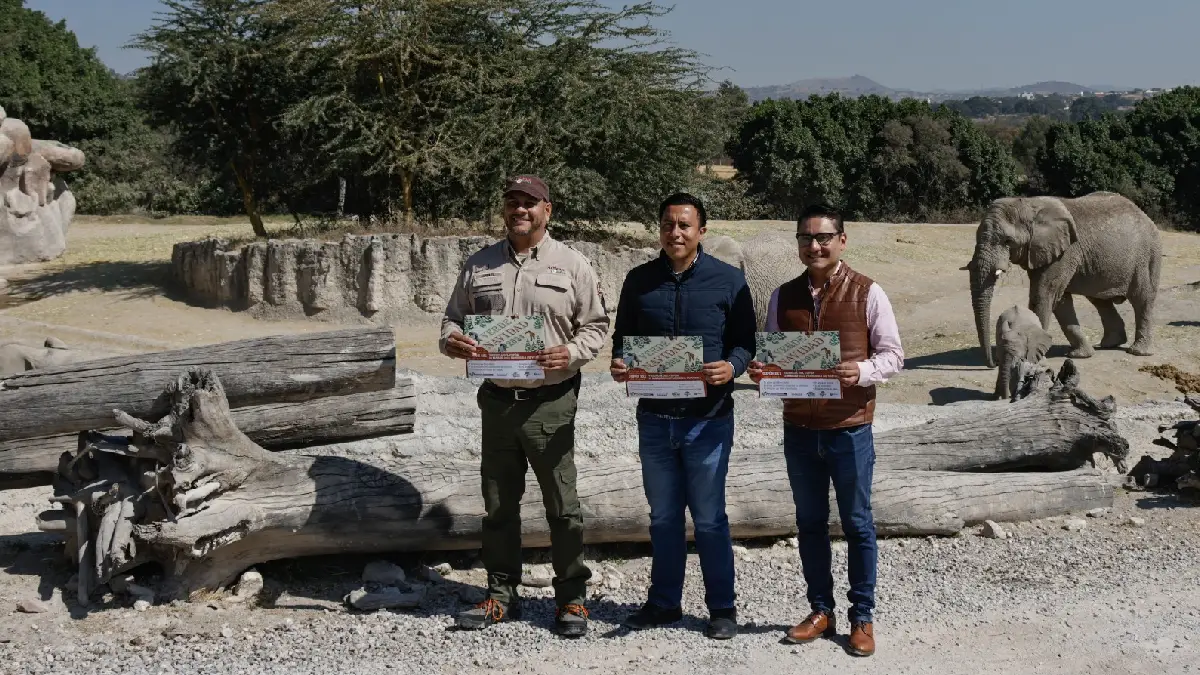 El Gobierno de la Ciudad se suma a la Campaña Verde Navidad 2024 para reciclar árboles naturales de temporada