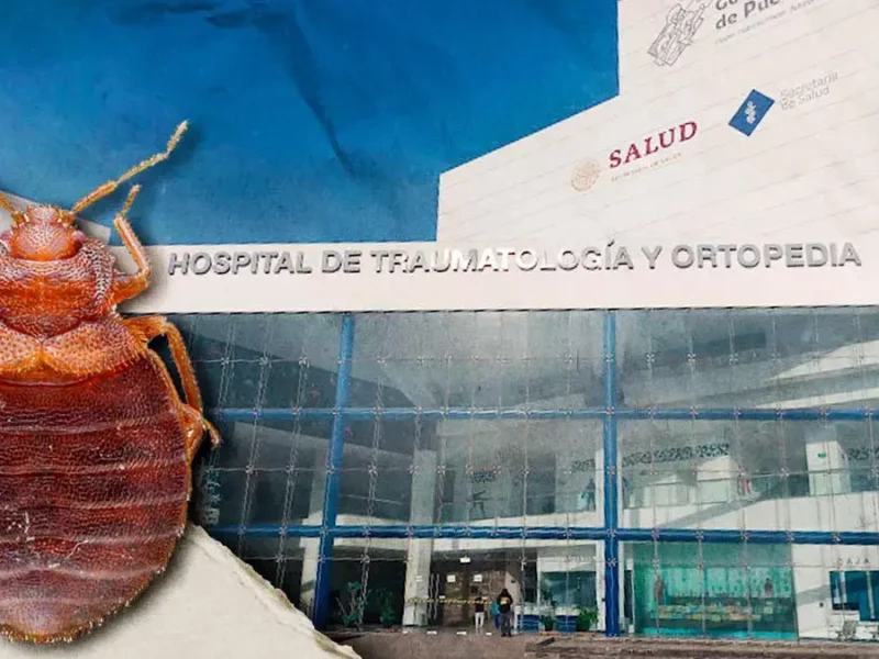 Denuncian plaga de chinches en el Hospital Dr. Rafael Moreno Valle de Puebla