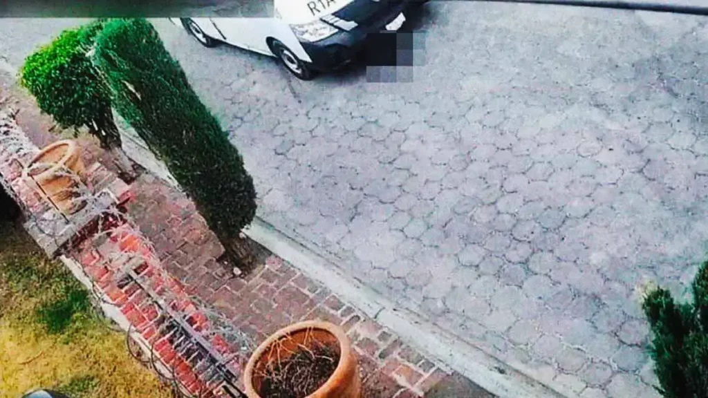 Asesino de perrita Pulgas en Atlixco, Puebla, sólo pagará 3 mil pesos