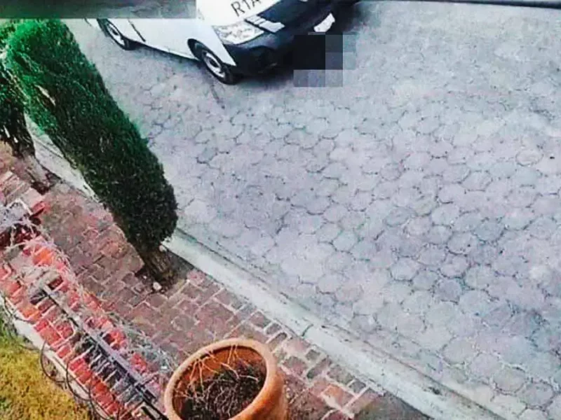 Asesino de perrita Pulgas en Atlixco, Puebla, sólo pagará 3 mil pesos
