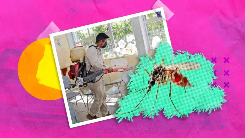 En dos años, casos de dengue en Puebla se dispararon 2814%