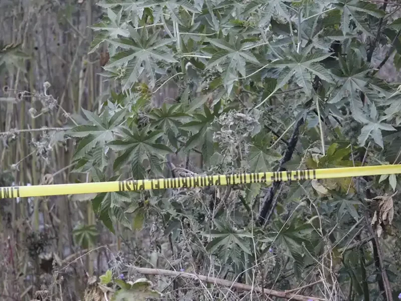Abandonan restos humanos en terreno baldío de Cuautlancingo, Puebla