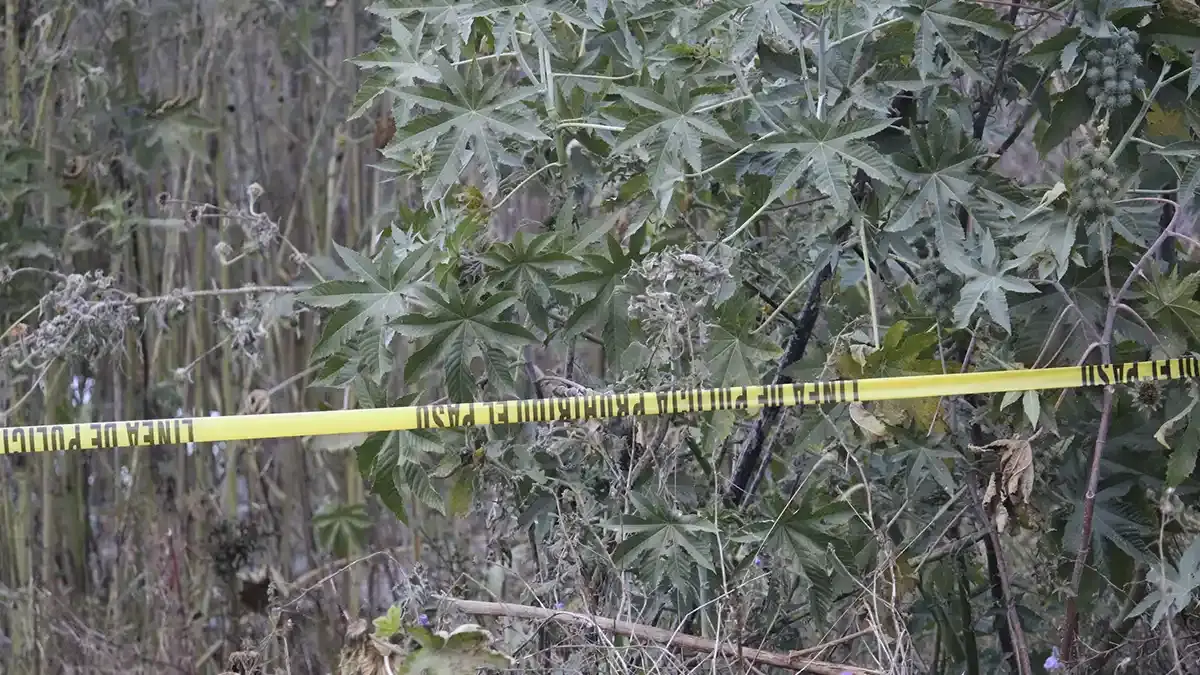 Abandonan restos humanos en terreno baldío de Cuautlancingo, Puebla