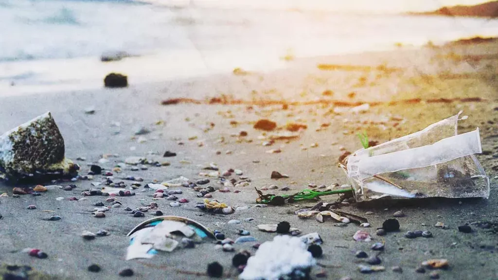 Cofepris revela cuáles son las playas más contaminadas en México durante la temporada decembrina