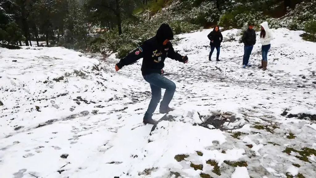 Primer nevado del 2024 en el Cofre de Perote; Protección Civil emite recomendaciones  
