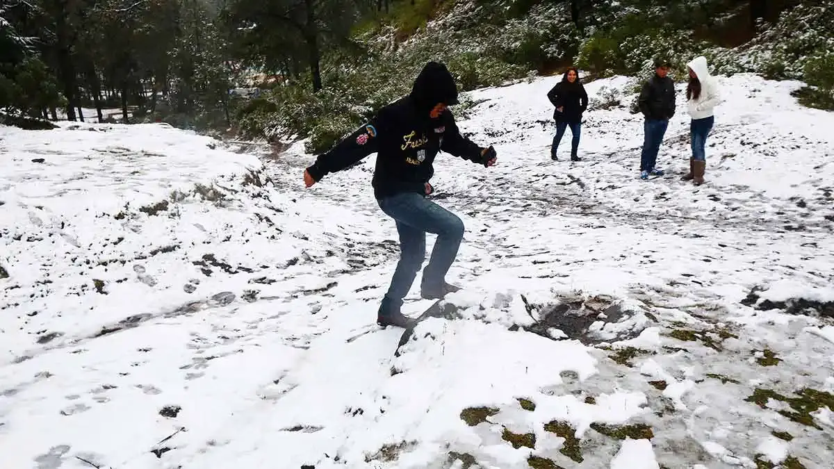 Primer nevado del 2024 en el Cofre de Perote; Protección Civil emite recomendaciones  
