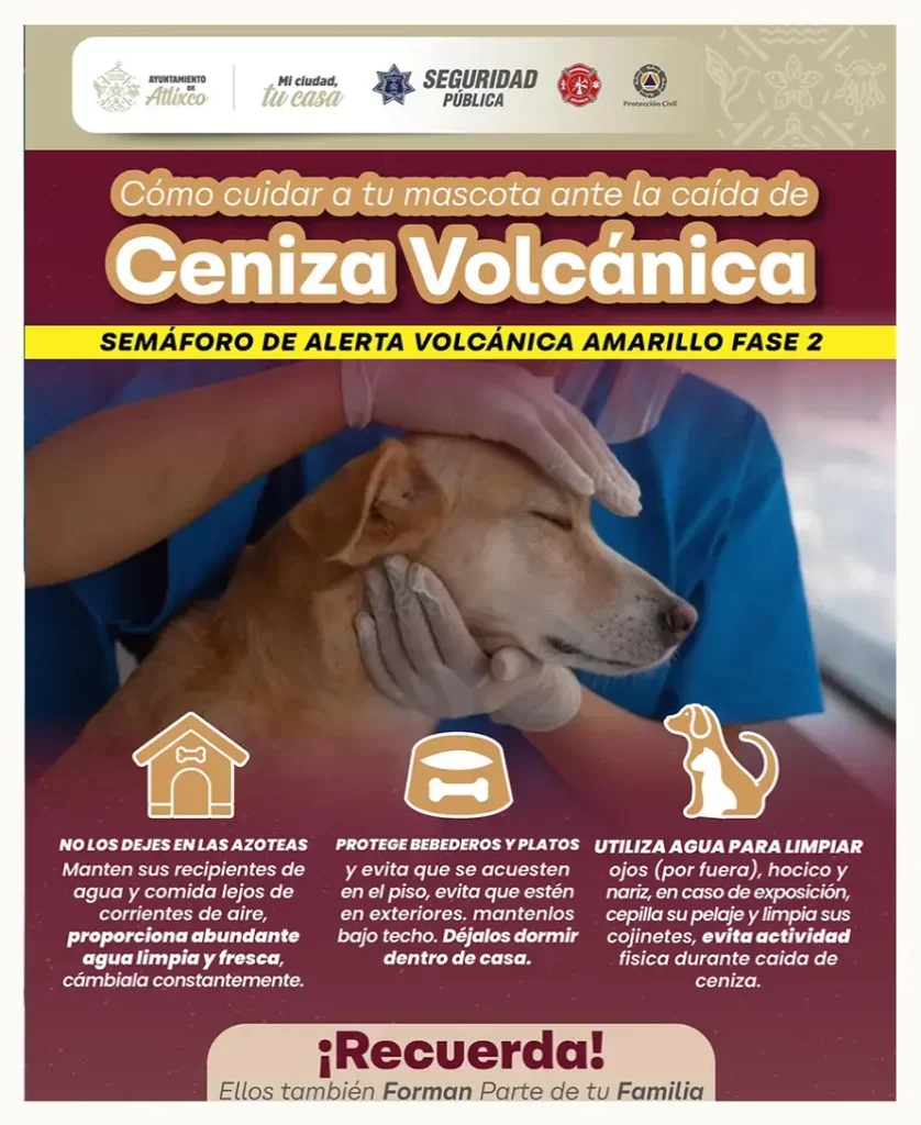 Ayuntamiento de Atlixco emite recomendaciones ante caída de ceniza volcánica