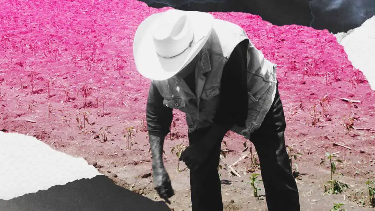 Adulto mayor murió calcinado al intentar quemar rastrojo en campos de Izúcar, Puebla