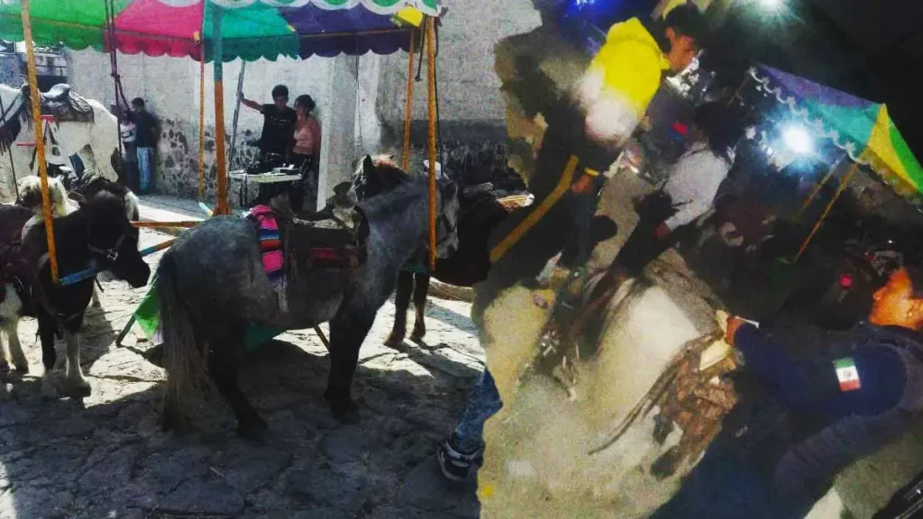 Autoridades rescatan a ponis víctimas de maltrato animal en Cuautinchán, Puebla