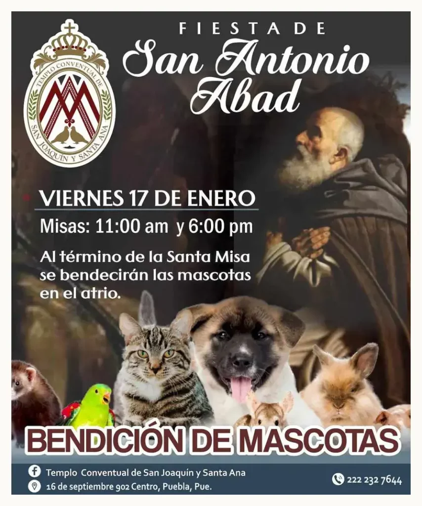 Iglesias de Puebla preparan la bendición de mascotas para Día de San Antonio Abad 2025