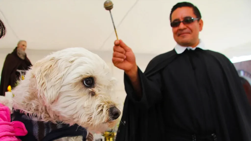 Iglesias de Puebla preparan la bendición de mascotas para Día de San Antonio Abad 2025
