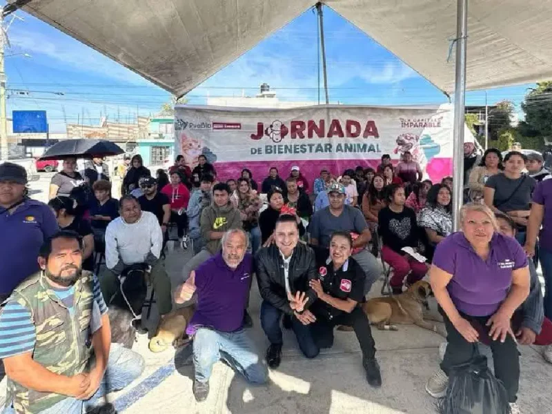 Gobierno de la Ciudad lleva Jornada de Bienestar Animal a Colonia Minerales del Sur