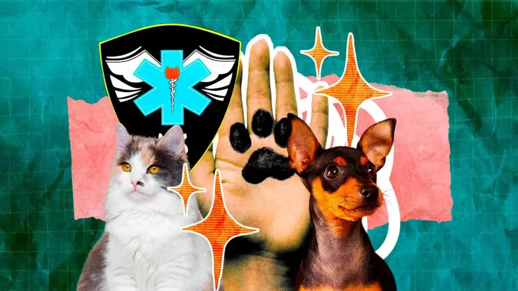En el Día del Rescatista Animal, conoce más sobre la noble labor de Ursva Puebla