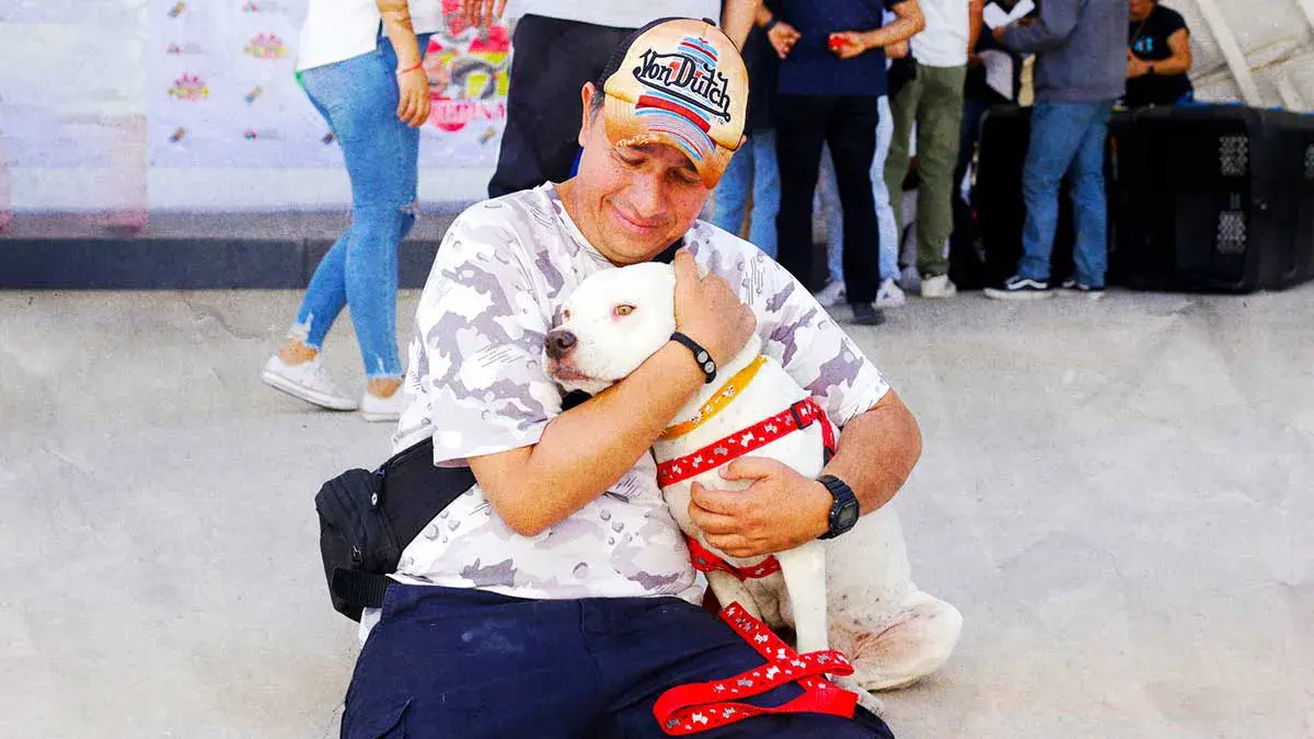Fundación “Patitas sin Rumbo” organiza Feria de Adopción de enero 2025 en Cholula
