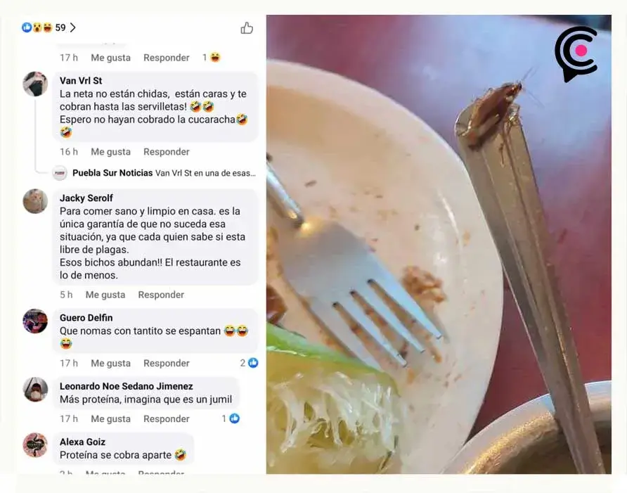 Comensales exhiben a restaurante “Borzanni” de Puebla por servir alimentos con cucarachas