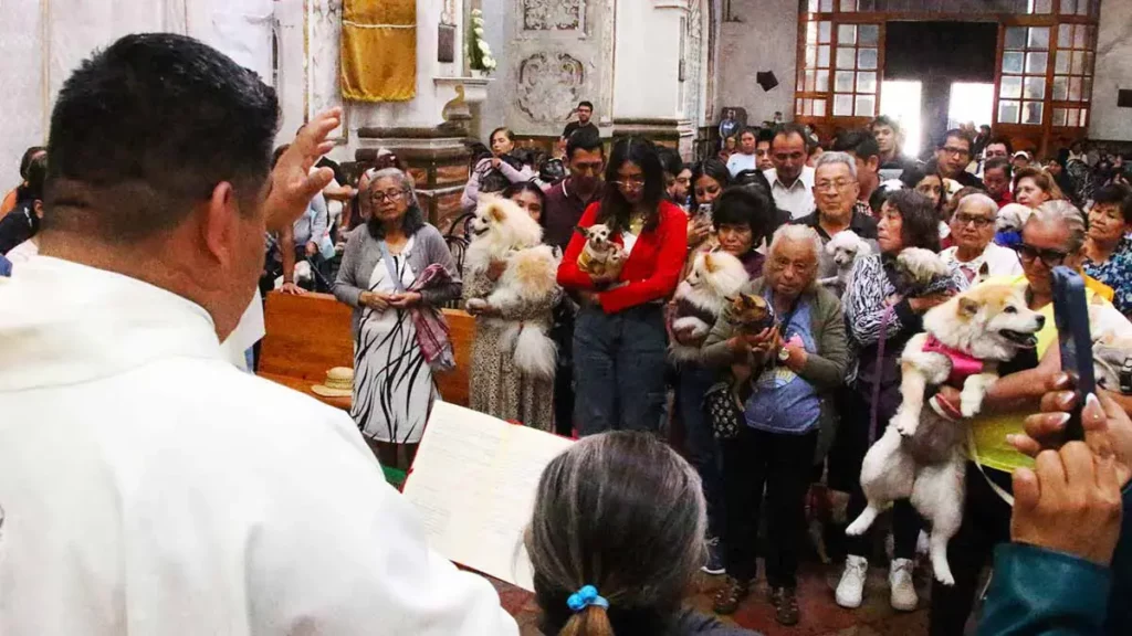 Poblanos llevan a sus mascotas a bendecir en el Día de San Antonio Abad 
