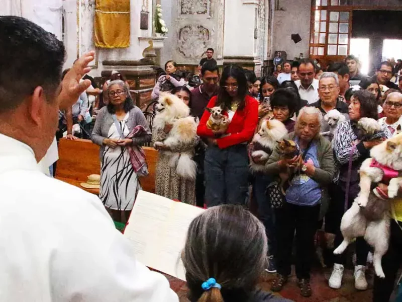 Poblanos llevan a sus mascotas a bendecir en el Día de San Antonio Abad 
