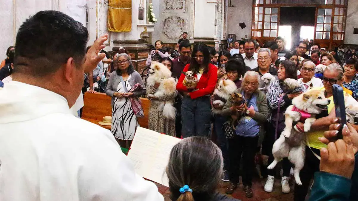 Poblanos llevan a sus mascotas a bendecir en el Día de San Antonio Abad 