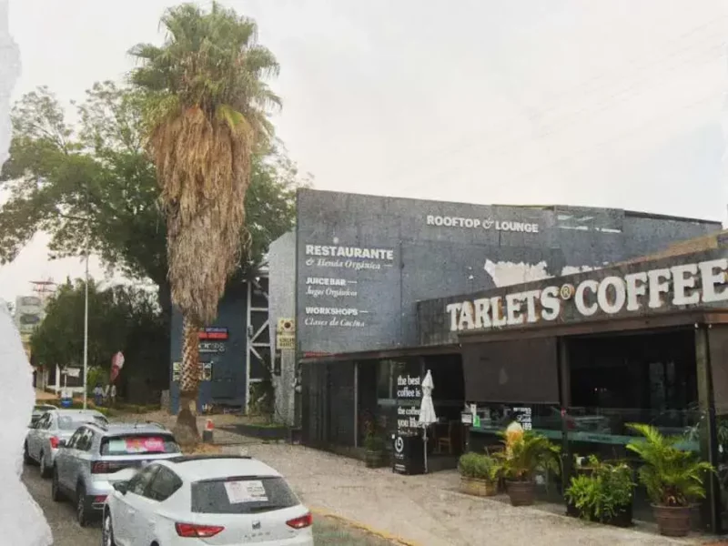 Ayuntamiento de Puebla denunció ante la Fiscalía el derribo de palmera en Las Animas