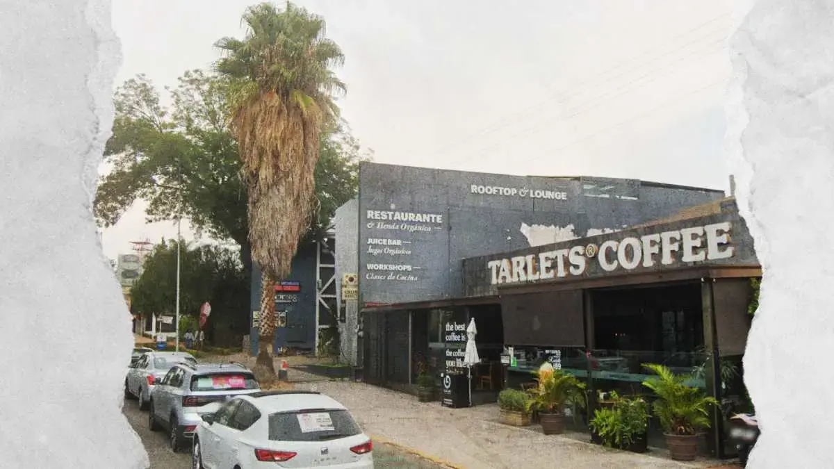 Ayuntamiento de Puebla denunció ante la Fiscalía el derribo de palmera en Las Animas