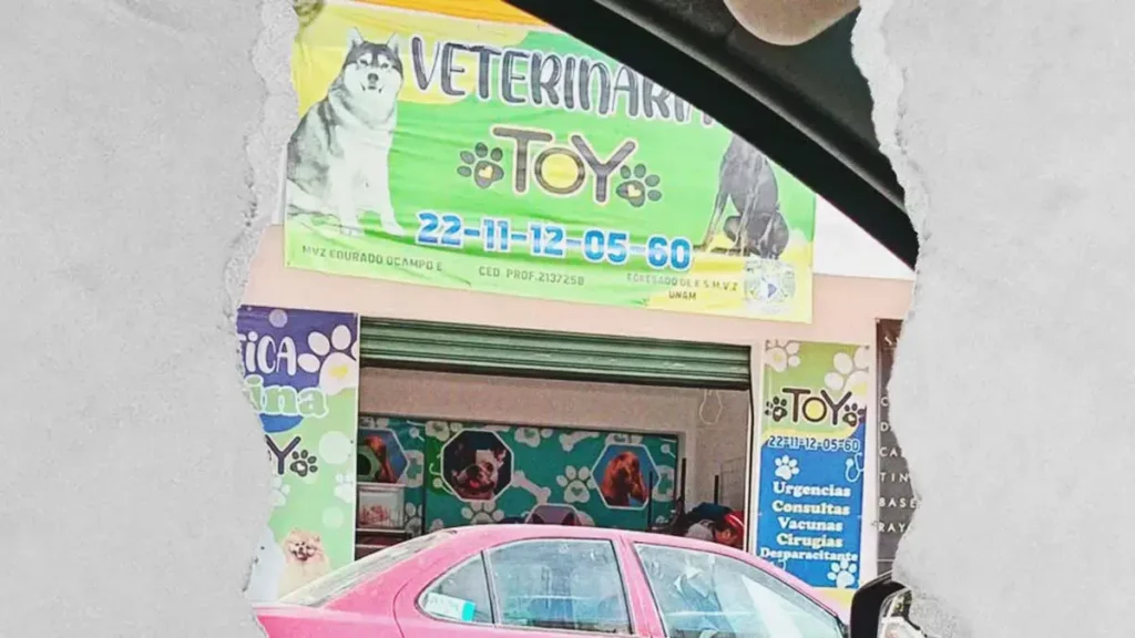 Denuncian por maltrato animal a “Veterinaria Toy” en San Felipe Hueyotlipan, Puebla