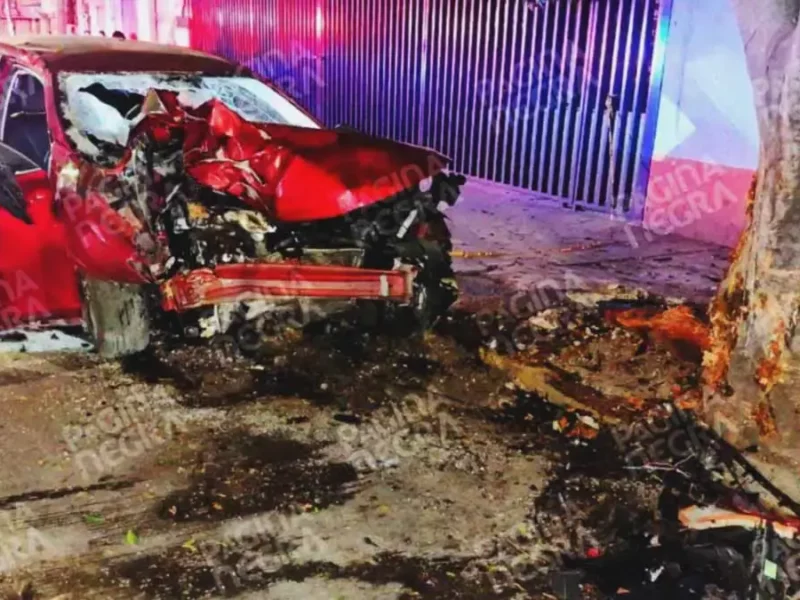 Mujer borracha chocó contra un árbol en Los Volcanes, Puebla; copiloto murió