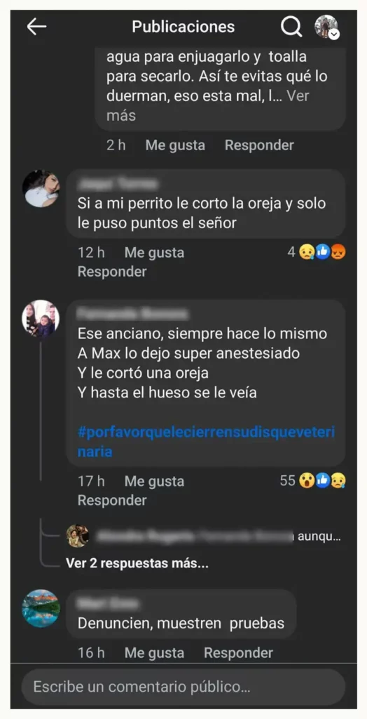 Denuncian por maltrato animal a “Veterinaria Toy” en San Felipe Hueyotlipan, Puebla