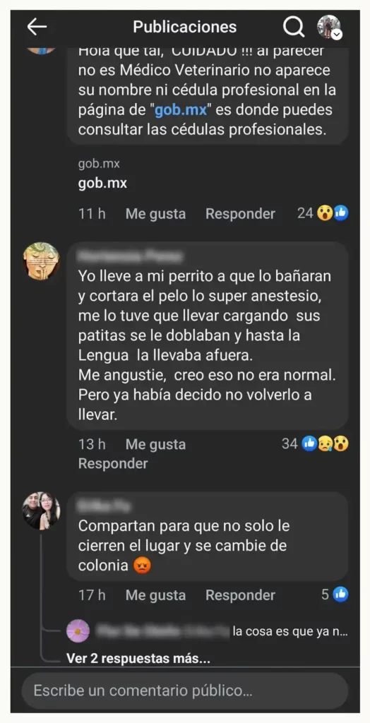 Denuncian por maltrato animal a “Veterinaria Toy” en San Felipe Hueyotlipan, Puebla