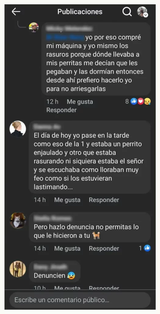 Denuncian por maltrato animal a “Veterinaria Toy” en San Felipe Hueyotlipan, Puebla