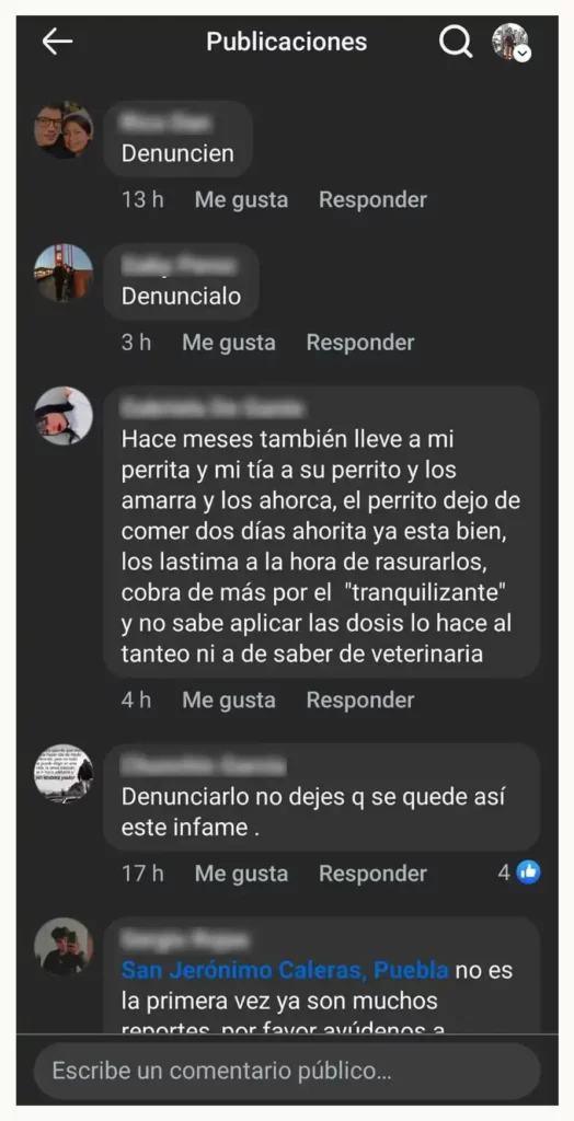 Denuncian por maltrato animal a “Veterinaria Toy” en San Felipe Hueyotlipan, Puebla