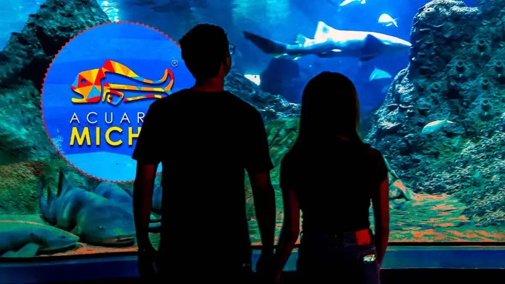 Festeja el Día de San Valentín con una velada romántica en Acuario Michin Puebla