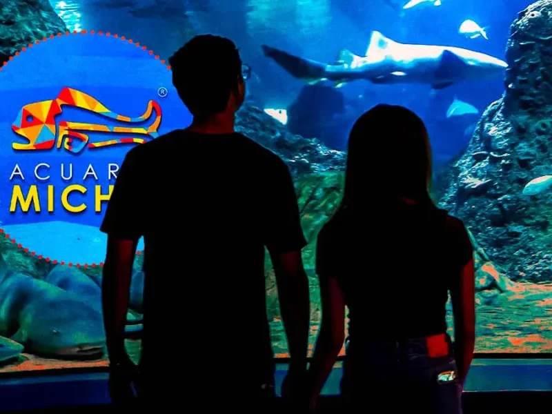 Festeja el Día de San Valentín con una velada romántica en Acuario Michin Puebla