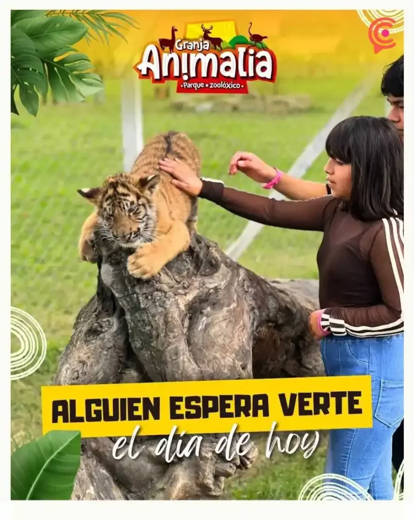 Disfruta de estos eventos en Puebla durante la última semana de enero 2025