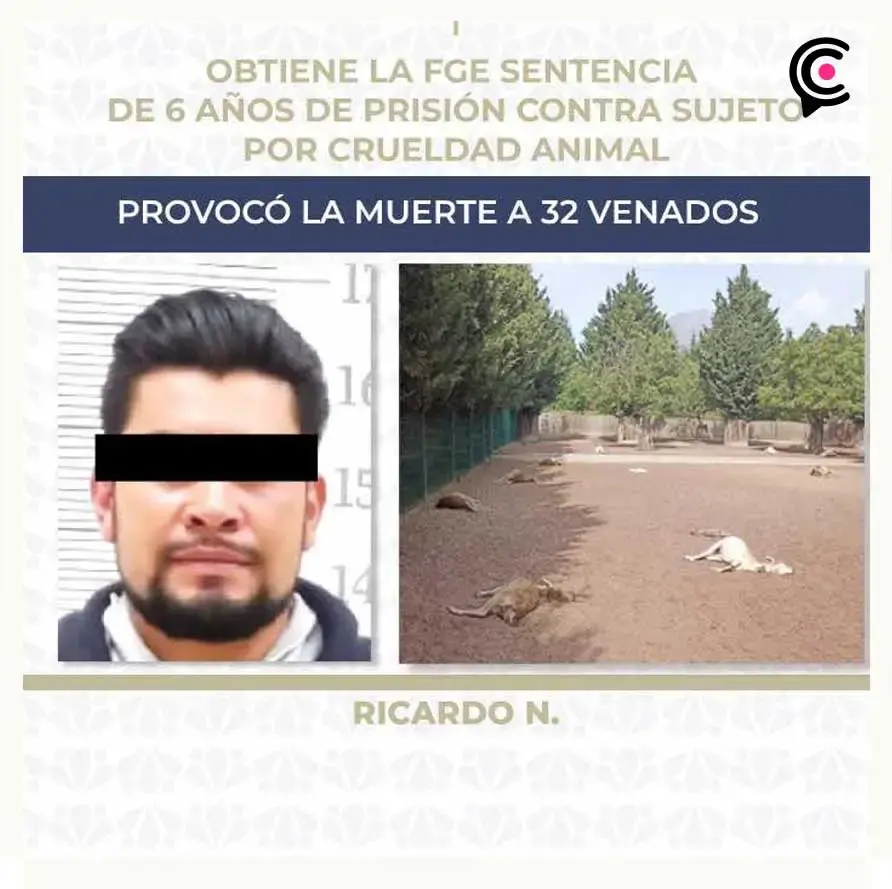 Ricardo mató 32 venados en Volcanic Park; le dan sentencia de 6 años de prisión 