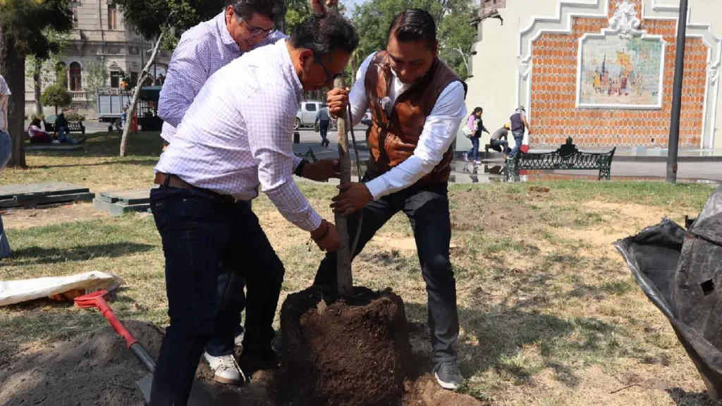 Celebra Gobierno de la Ciudad el 26 de enero como Día Municipal del Árbol Urbano