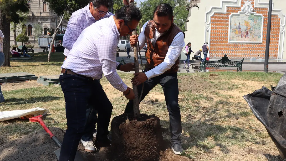 Celebra Gobierno de la Ciudad el 26 de enero como Día Municipal del Árbol Urbano
