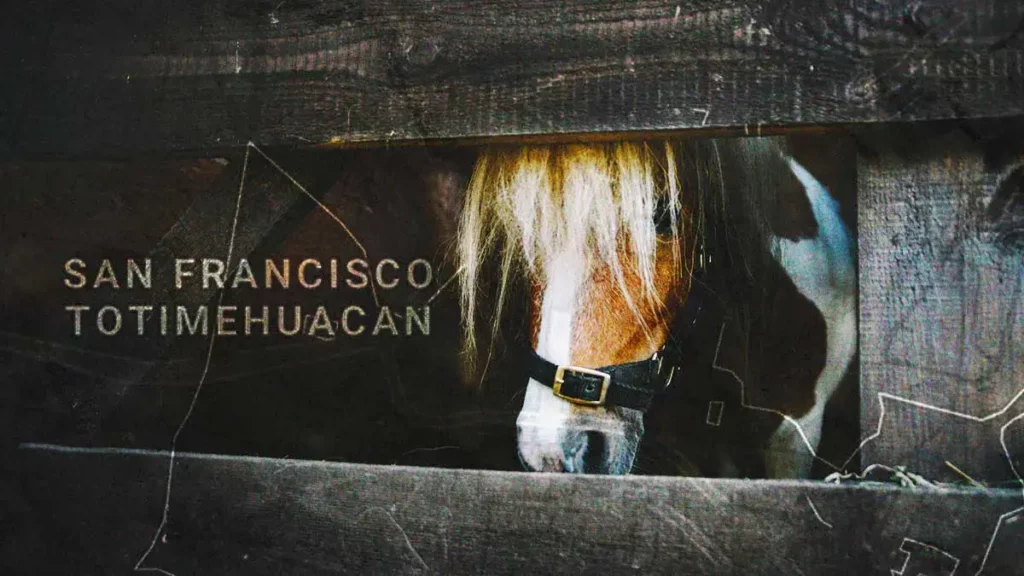 Denuncian robo de un pony en San Francisco Totimehuacan, Puebla