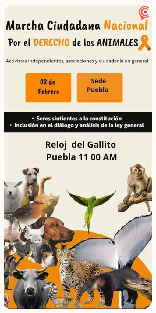 Anuncian “Marcha Ciudadana Nacional por el Derecho de los Animales”; Puebla participará desde “El Gallito”