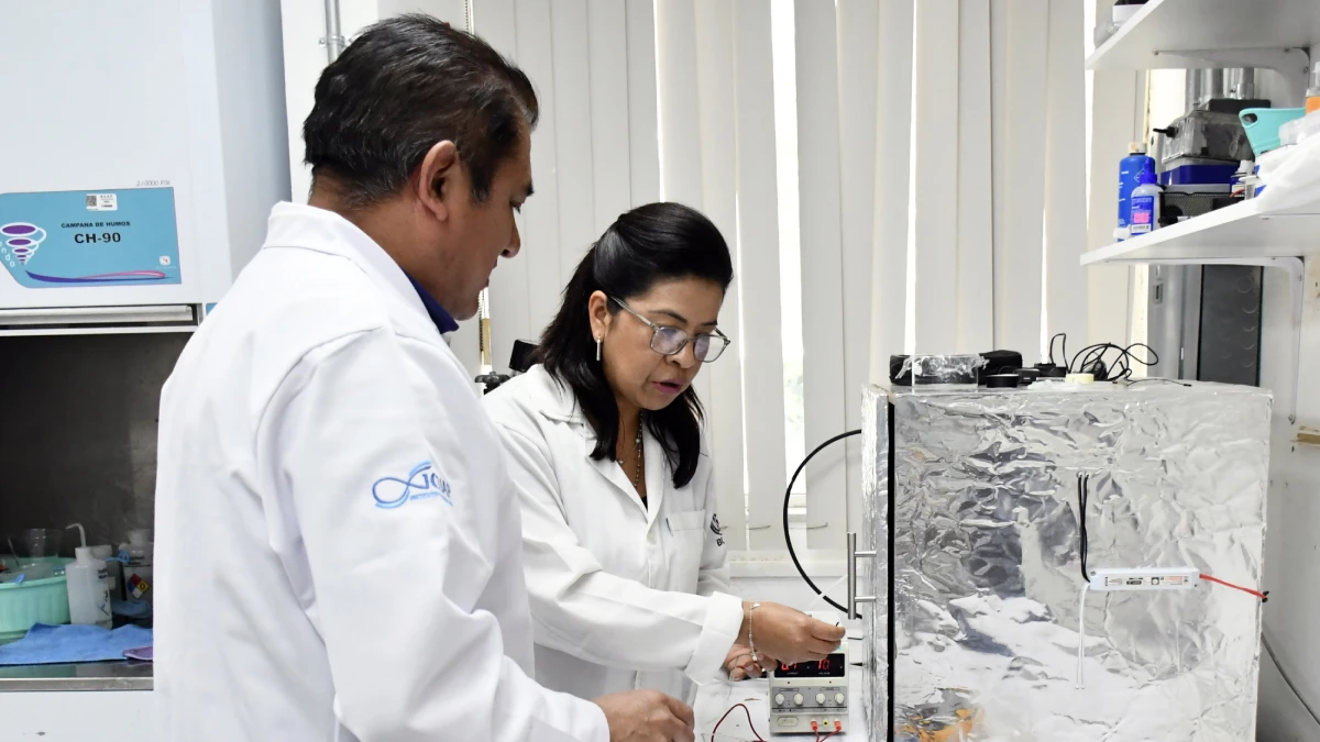 Investigadores BUAP diseñan biosensor para detectar moléculas de interés clínico