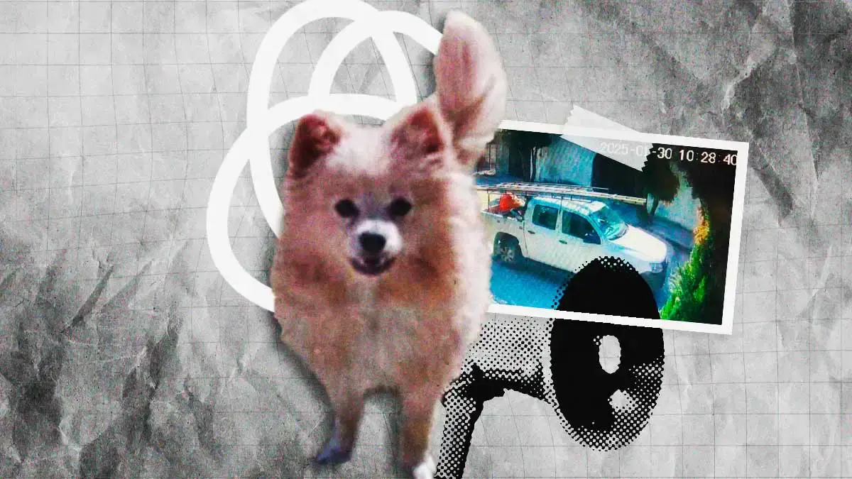 Se roban al perro Rocket en Totimehuacan, Puebla, y lo devuelven sin vida a su familia