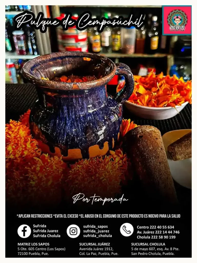 Celebra el Día Nacional del Pulque en estos lugares de Puebla