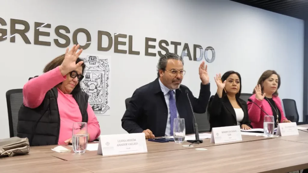 Presentan en Comisión del Congreso propuesta de Encuesta Digital para Organizaciones No Gubernamentales