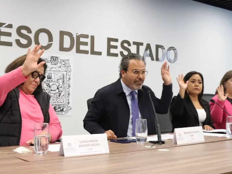 Presentan en Comisión del Congreso propuesta de Encuesta Digital para Organizaciones No Gubernamentales