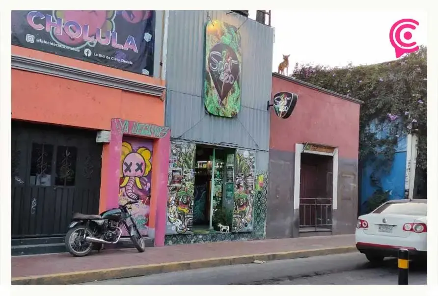 Tiendas de productos con CBD se ponen “de moda” en San Andrés Cholula