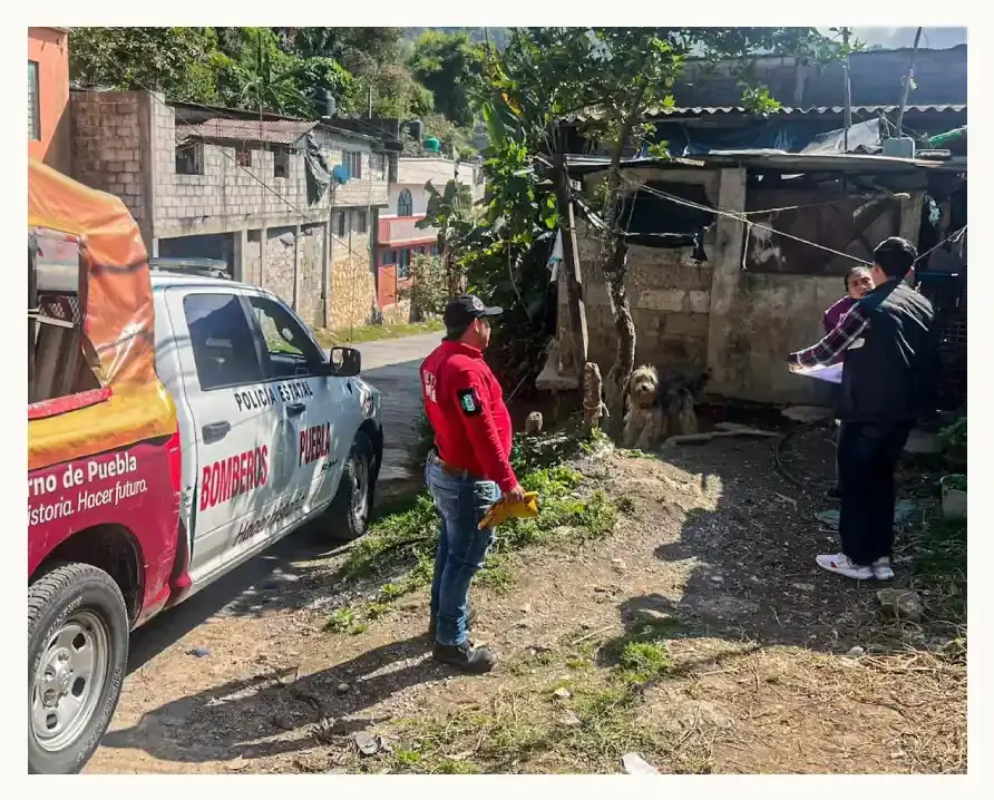 Rescatan a “Huesos”, el perro que vivió más de tres años amarrado en Xicotepec, Puebla