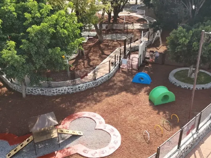 Atlixco, ejemplo de Bienestar Animal: Ariadna Ayala abre parque para mascotas