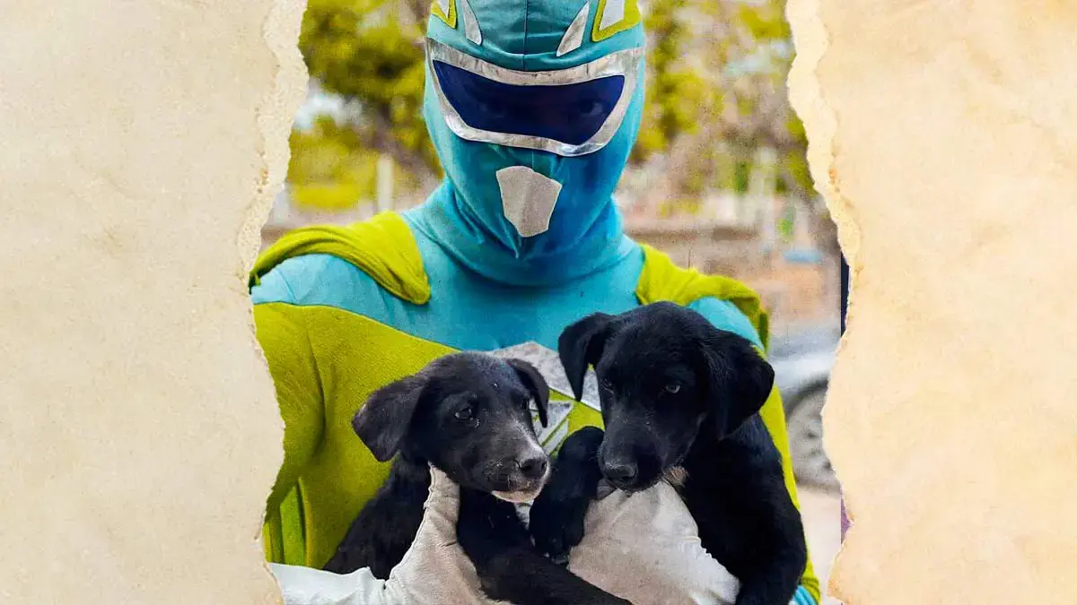 Zadrigman convoca a marcha en Puebla para exigir justicia por casos de maltrato animal  