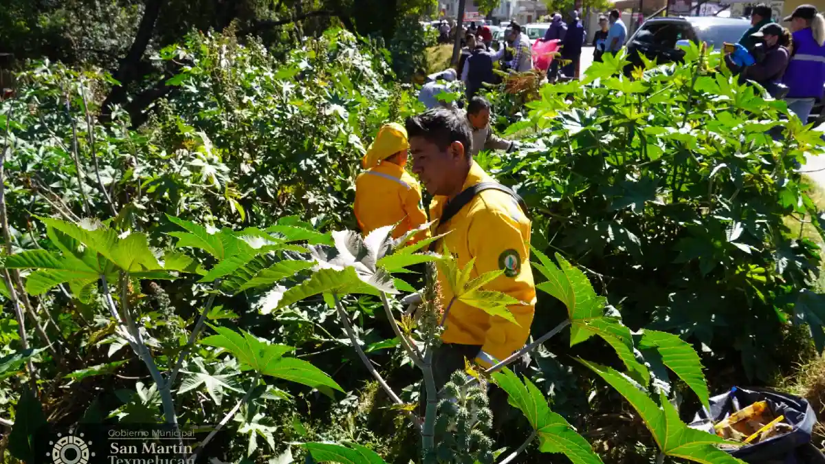 Gobierno federal, estatal y municipal coadyuvan para saneamiento del río Atoyac