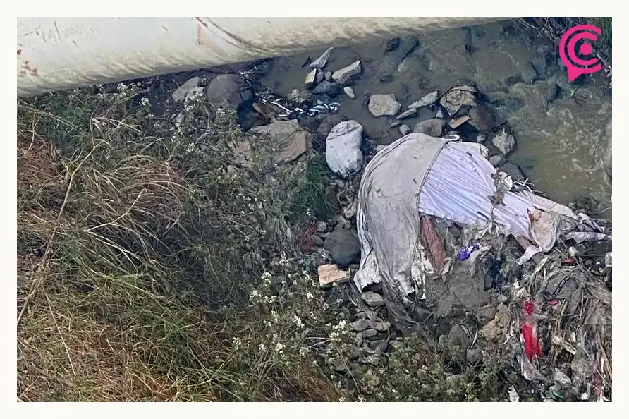 Ursva Puebla rescata a perro que cayó a una barranca en la colonia Miguel Hidalgo  